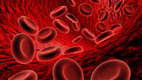 hematology wallpapers wallpaper cave