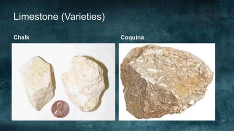 Non Clastic Sedimentary Rocks