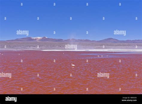 Red Lake Bolivia South America Stock Photo Alamy
