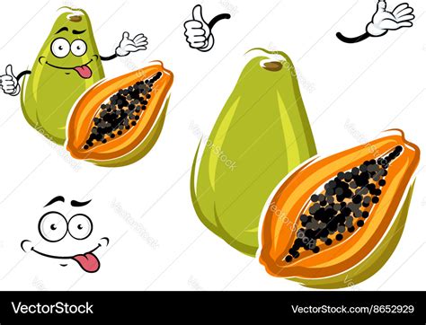 Cartoon Exotic Hawaiian Green Papaya Fruit Vector Image