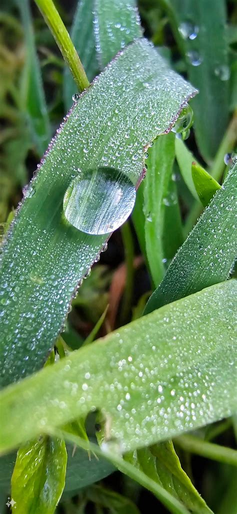 En cada gota de agua hay una historia de vida🤠🇲 - Samsung Members