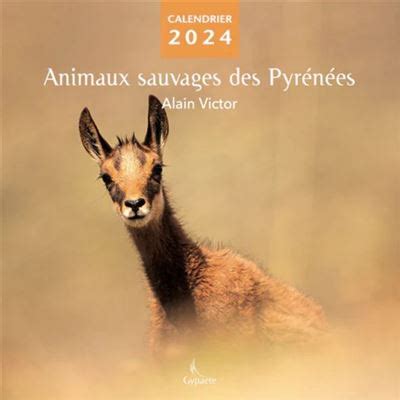 Animaux sauvages des Pyrénées broché Alain Victor Livre tous les