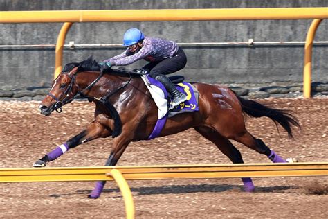 【注目馬動向】シャザーンは岩田望来騎手とコンビ継続でセントライト記念 友道師「まずは同じ世代同士から」 スポーツ報知