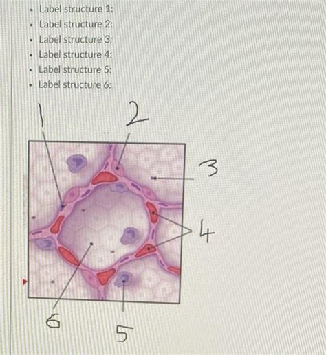 solved label structure  label structure  label structure cheggcom