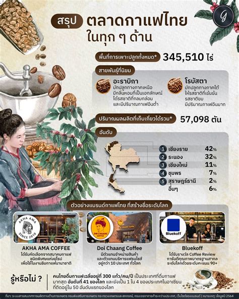 [ลงทุนแมน] สรุป ข้อมูลกาแฟไทย ในทุกด้าน อะราบิกา Vs โรบัสตา อะราบิกา