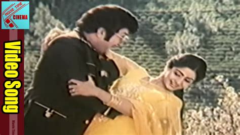 vayyari bhamalu vagalamari bhartalu  konge thagilindhe video
