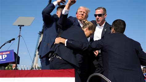 Tampa Bay Times: Breaking News and In-Depth Investigations 8