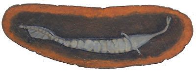 Tully Monster Fossil Nodule Sculpture Mazon Creek | #152074929