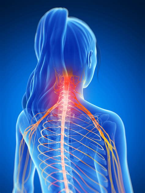 Upper Back Muscles Pain
