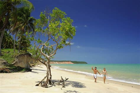 Praias paradisíacas no Brasil veja as 50 melhores praias para viajar