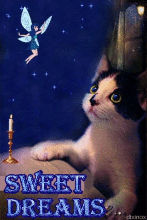 10 Magical Good Night Animated Quotes Good Night Cat Nighty Night