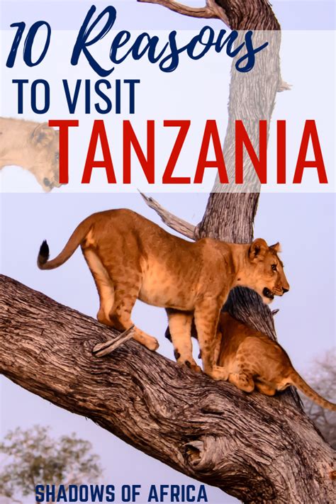 Amazing Tanzania 10 Reasons To Visit Tanzania In 2019 Travel To