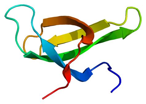 Smn complex proteins