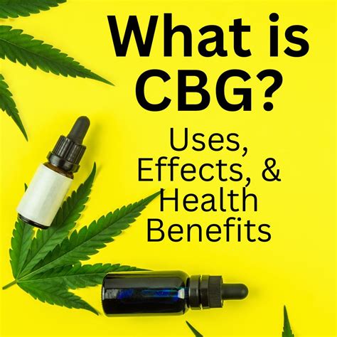 Cannabigerol Cbg Unraveling The Hidden Powers Of A Dynamic Cannabinoid