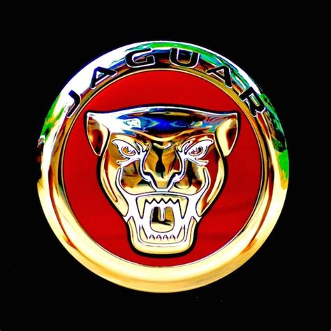 Jaguar Emblem - Etsy