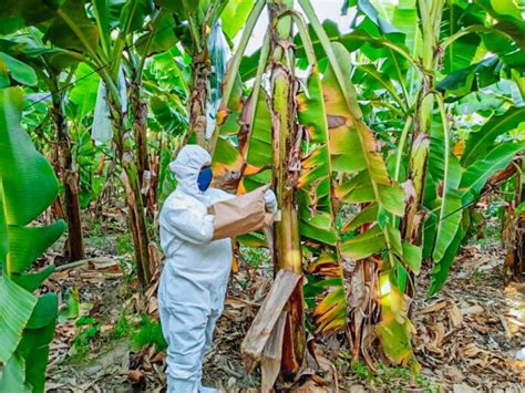 Gobierno Regional Impulsa Trabajos Para Una Agricultura Sostenible En