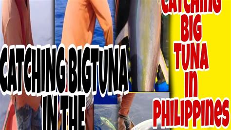 Catching Big Tuna In Philippines Youtube