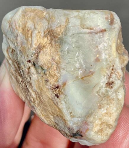 45g Coober Pedy Opal Rough Pseudomorph Fossil Clam Shell Australia Ebay