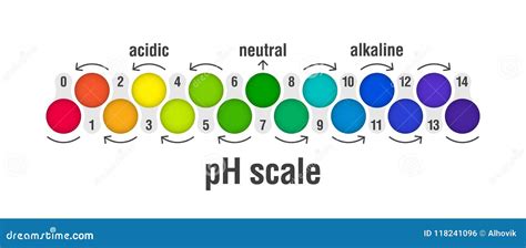 Grafico Della Scala Di Ph Illustrazione Vettoriale Illustrazione Di