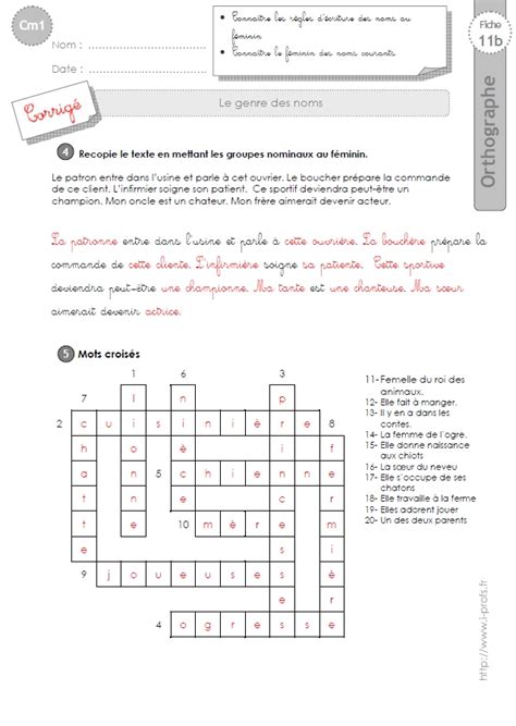 Cm1 Exercices Sur Le Genre Des Noms