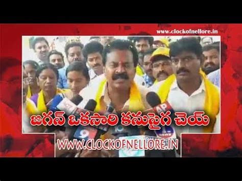 Nuda Chairman Kotamreddy Srinivasulu Reddy Fire In Ycp Mla Anil