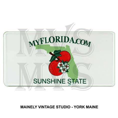 Printable Florida License Plate Template - Etsy