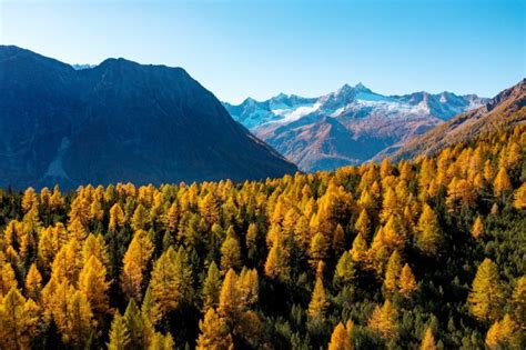 I Luoghi Migliori Dove Ammirare Il Foliage In Italia