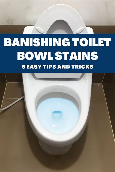 How To Clean Toilet Bowl Stains Artofit