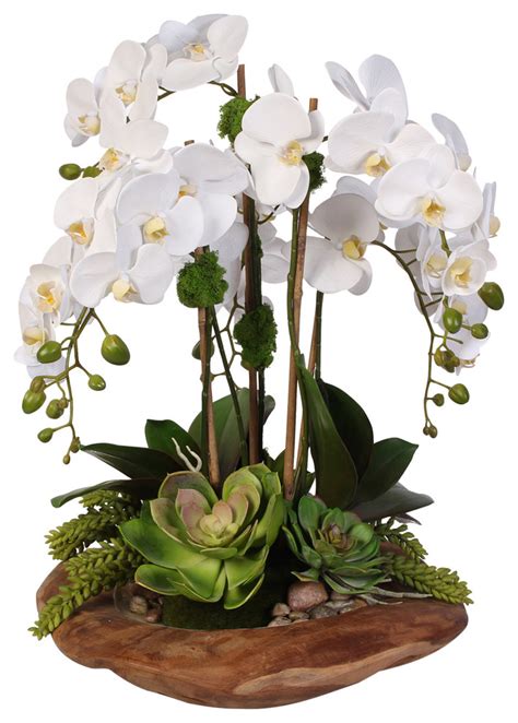 Real Touch Stem Phalaenopsis Silk Orchids With Succulents In Natural