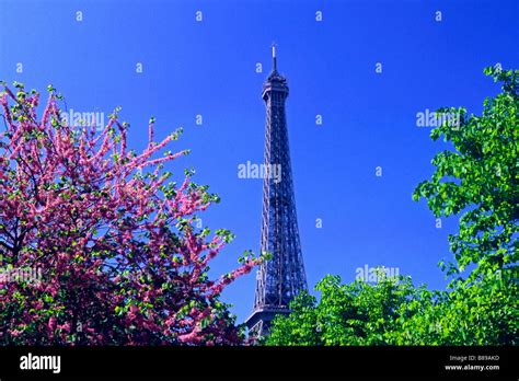 Eiffel Tower In Springtime Paris France Stock Photo Alamy