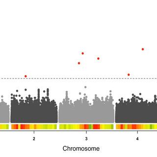 Manhattan Plot Illustrating The Arabidopsis Thaliana Genomic Regions