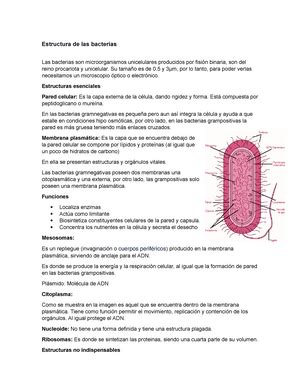 Fisiología Celular Y DE LOS Tejidos Excitables FISIOLOGÍA CELULAR Y