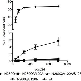 Intracellular Staining Of HIV Transfected HEK293T Cells The ER And