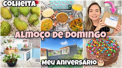 Voltei Meu Aniversário🎂 Ganhei Mimo De Uma Inscrita Colheita E Almoço De Domingo Fiz Bolo😋