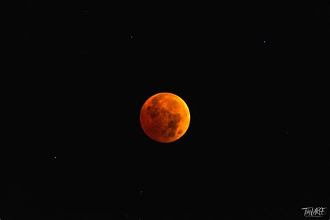 2022 11 08 Lunar Eclipse Photograph By Toby Large Pixels