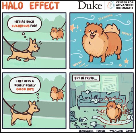 What is the Halo Effect? [12+ Examples in Marketing, Business, and ...