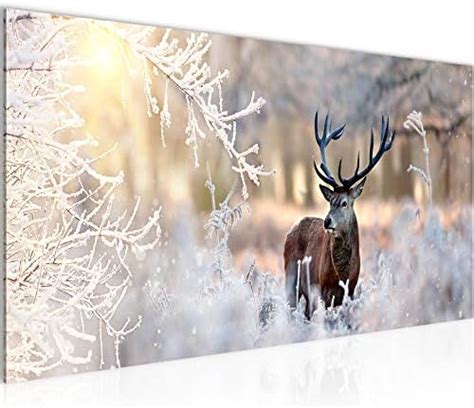 Paul Sinus Art GmbH REH In Landschaft 120x 50cm Panorama Leinwand Bild