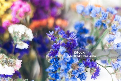 Close Up Bouquet Of Colorful Dried Flowers Background Texture Stock