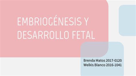 Embriog Nesis Y Desarrollo Fetal Breenstudy Udocz