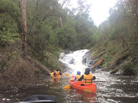 Our stay at Karri Valley Resort Pemberton - West Australian Explorer