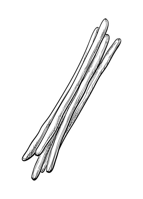 Ink Sketch Of Bread Sticks Isolated On White Background Hand Drawn
