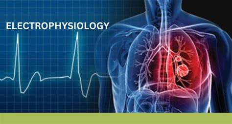 ELECTROPHYSIOLOGY