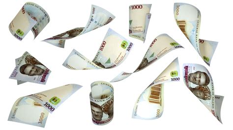 Nigerian Currency Png