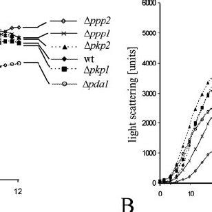 Growth Analysis Of Wild Type And Deletion Strains Growth Kinetics