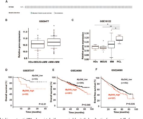 Figure From St Independent Of Myd Induces Reactive Oxygen