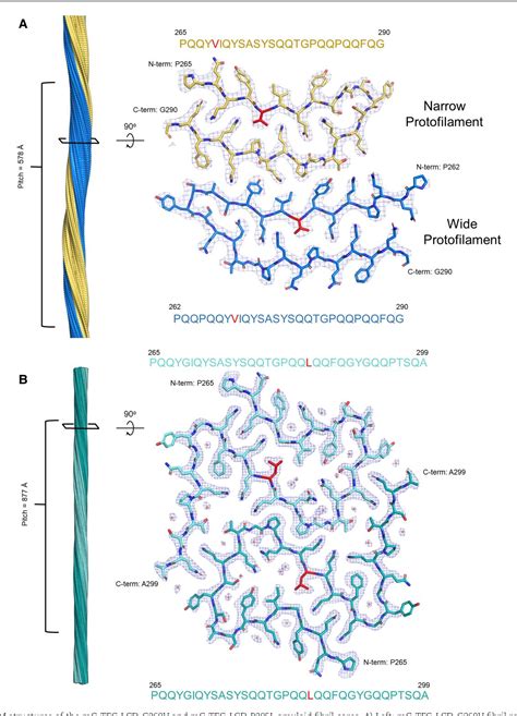 Figure From Fibril Structures Of Tfg Protein Mutants Validate The