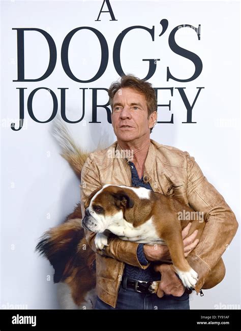 Dennis Quaid And His Dog Peaches Attend The Premiere Of A Dogs