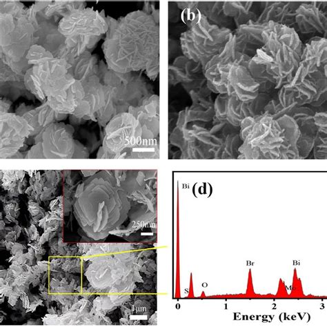 SEM Images Of A BiOBr B MoS2 C S 1 And D EDS Pattern Of S 1