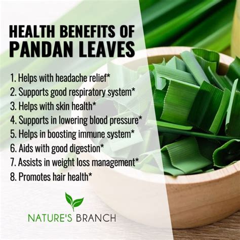 Health Benefits Of Pandan Leaves