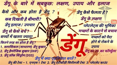 डेंगू बुखार के लक्षण और बचाव के उपाय Home Remedies For Dengue Fever In Hindi डेंगू म्हणजे काय